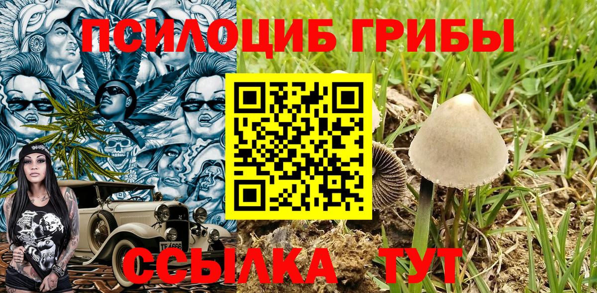 Кудымкар  Псилоцибиновые грибы ЛСД  Вход с VPN 
